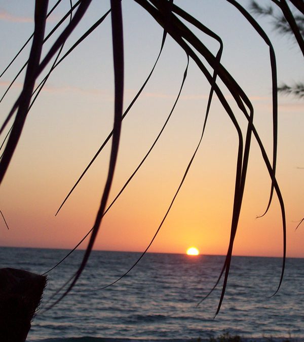 It’s time for “FUN IN THE SUN” at Englewood Beach, Florida